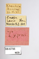 Nav&aacute;s i Ferrer, Longinos