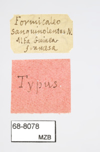 68-8078_Formicaleo_sanguinolentus_etiquetes