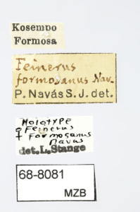 68-8081_Feineurs_formosanus_etiquetes