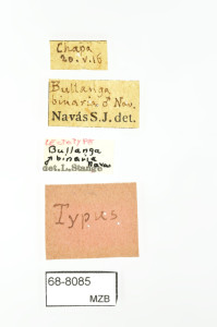 68-8085_Bullanga_binaria_etiquetes