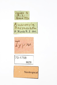 70-1758_Ameromyia_baronei_etiquetes_02