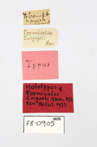 78-0905_Formicaleo_cuigneti_etiquetes