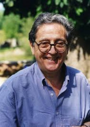 Joaquim Maluquer i Sostres