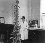 Josepa Mata a la Secci&oacute; de Bot&agrave;nica del Museu [Institut Bot&agrave;nic de Barcelona]